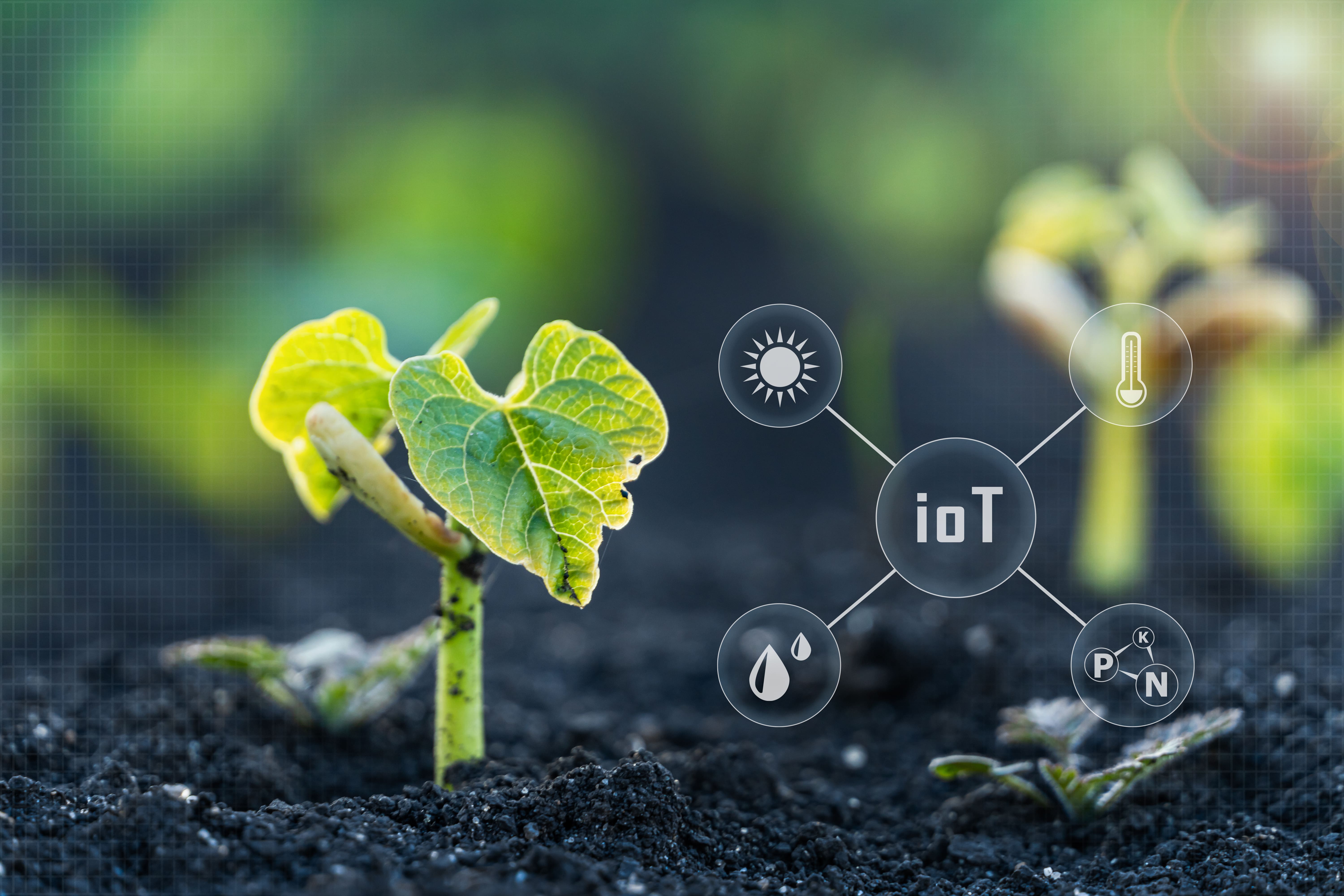 agriculture-iot