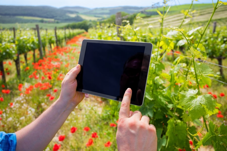 winetech-digitalisation-tablette