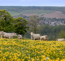 agriculture-régénérative