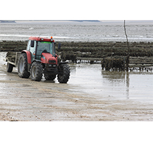 conchyliculteur-tracteur