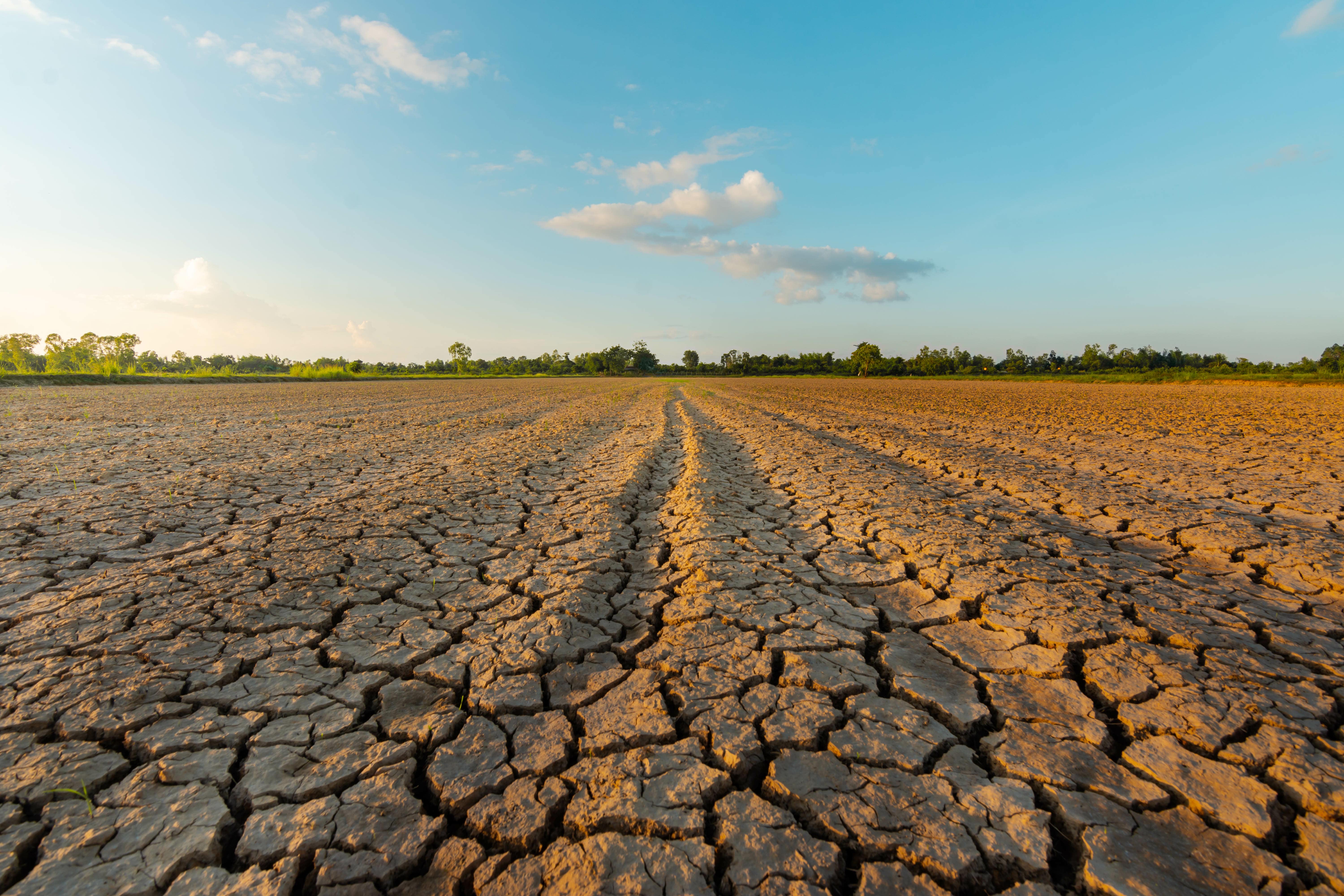 consequence-sol-rechauffement-climatique