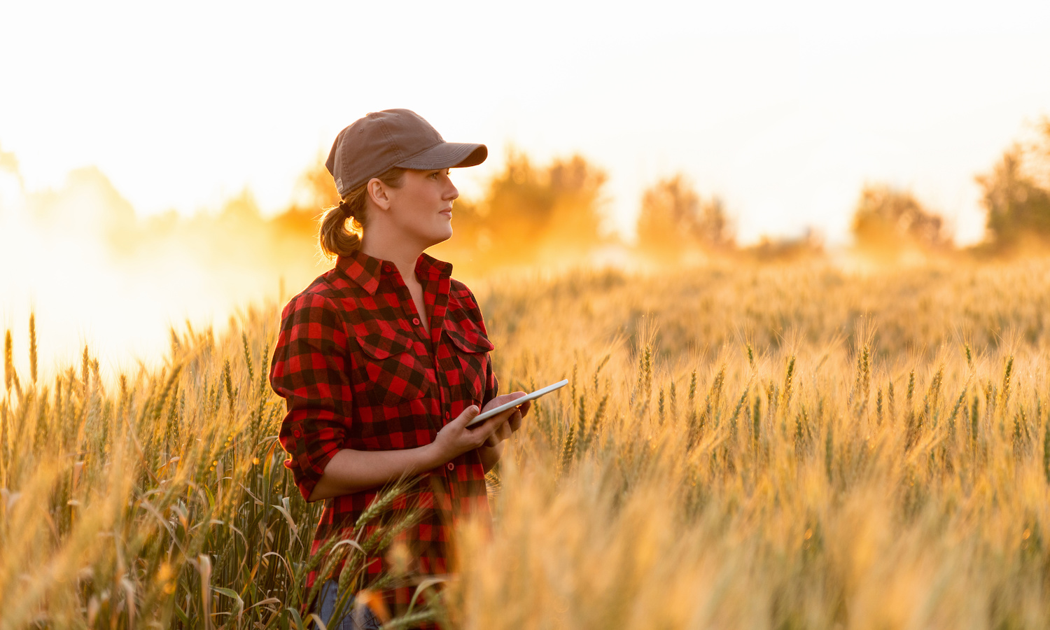 Agriculture formation technologie