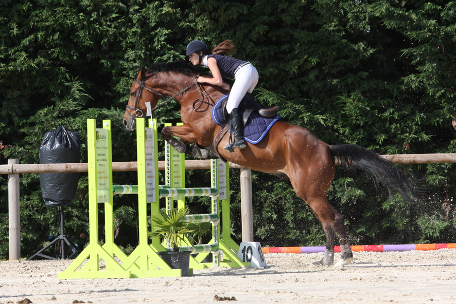 equitation-obstacles