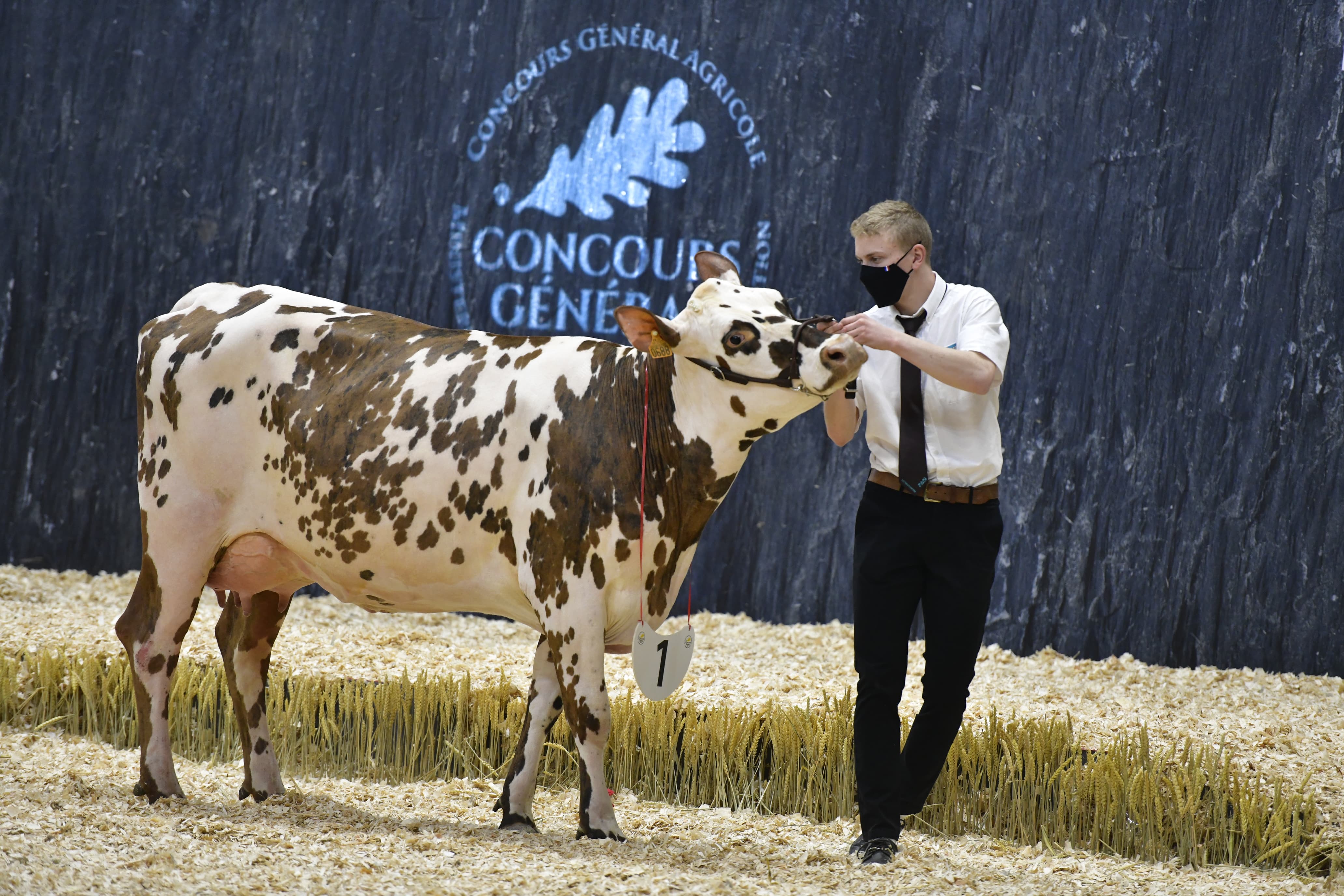 Tout savoir sur le Salon International de l’Agriculture (SIA) 2023