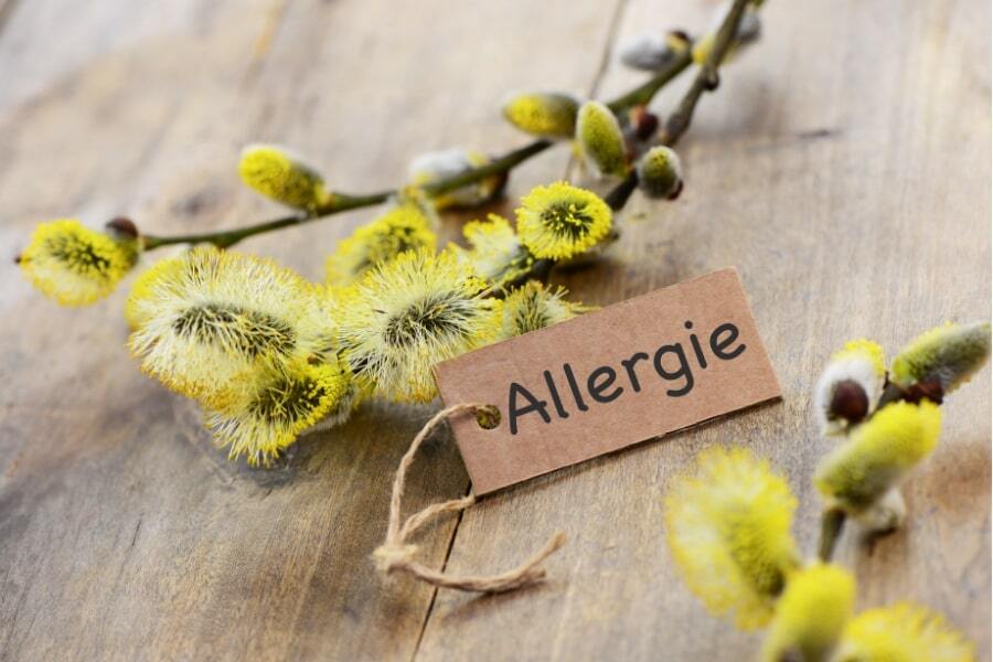allergie 
