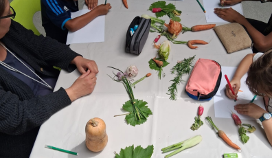 Visuel Lauréat Mécénat 2026_Ecole Comestible