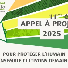 MTS_Visuel AP Mécénat