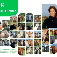 Affiche du Salon international de l'agriculture 2026