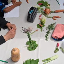 Visuel Lauréat Mécénat 2026_Ecole Comestible