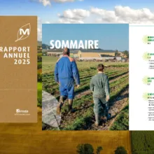 UMG Rapport annuel 2025