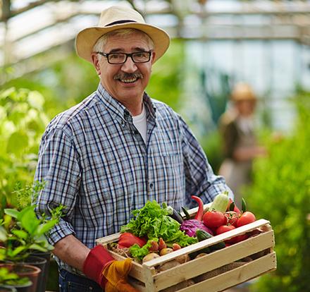 Journée mondiale de l'alimentation