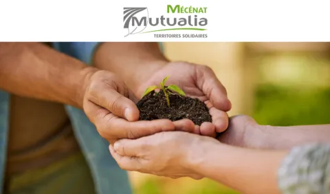 Visuel lauréats Mécénat 2026