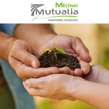 Visuel lauréats Mécénat 2026