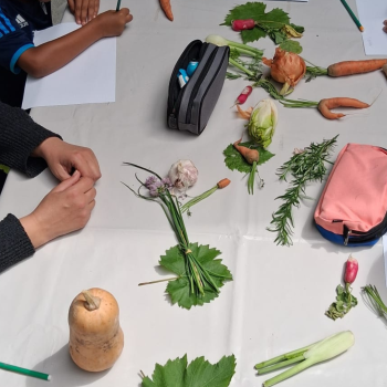 Visuel Lauréat Mécénat 2026_Ecole Comestible