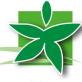 Logo Service de Remplacement