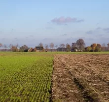 Cultures de couverture : à vous de choisir!