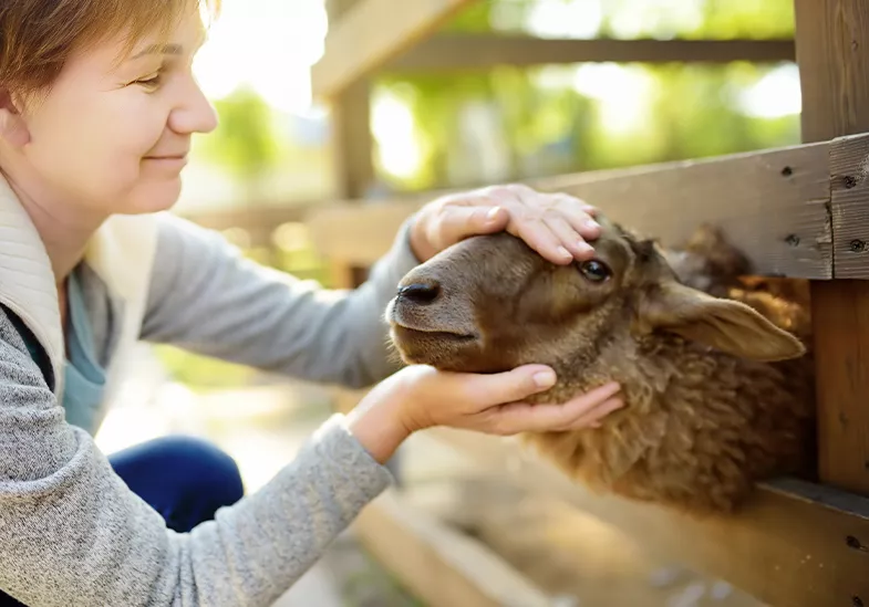 Balade à la ferme